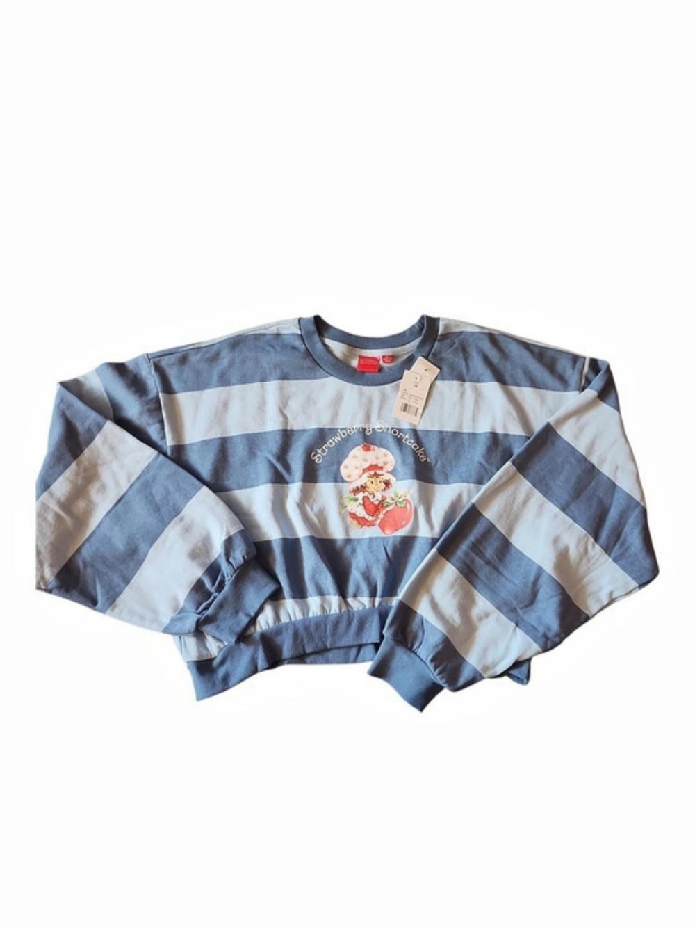 Strawberry Shortcake Blue Striped Graphic Cropped Sweatshirt Blue & White